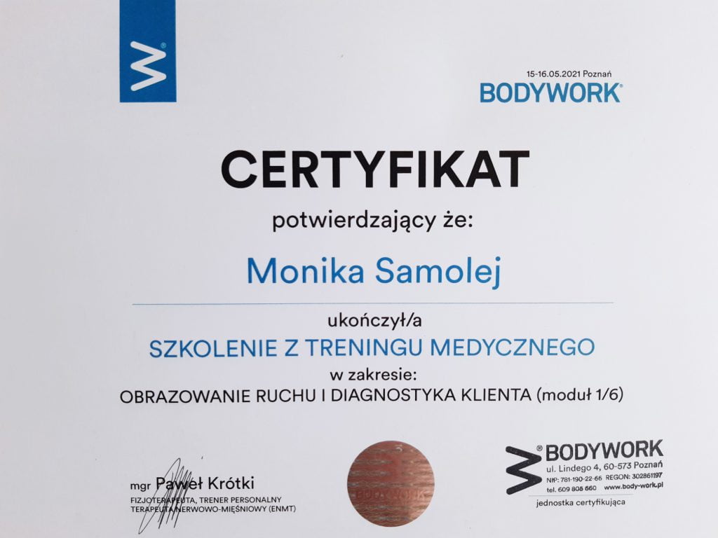 Certyfikat - obrazowanie ruchu i diagnostyka